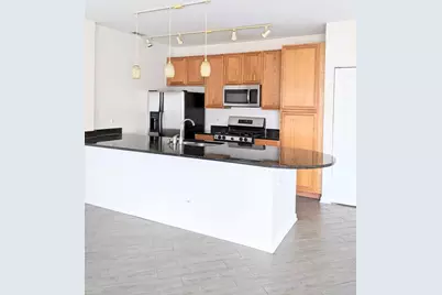 807 W 14th Place #1B, Chicago, IL 60608 - Photo 8