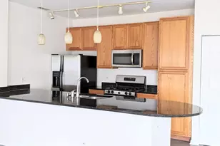 807 W 14th Pl, Chicago, IL 60608 - Photo 8