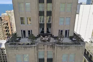 159 E Walton Pl, Chicago, IL 60611 - Photo 14
