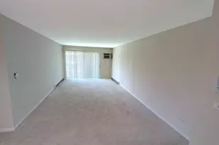 806 E Old Willow Rd, Prospect Heights, IL 60070 - Photo 6