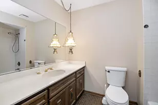 14015 S Cherokee Trail, Homer Glen, IL 60491 - Photo 14