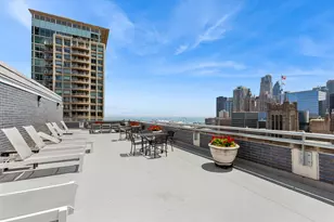 222 E Pearson St, Chicago, IL 60611 - Photo 16
