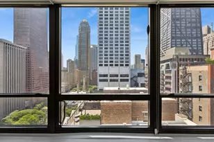 222 E Pearson St, Chicago, IL 60611 - Photo 14