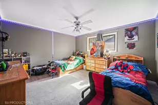 640 Aspen St, Frankfort, IL 60423 - Photo 14