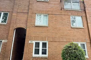 341 W 24th St, Chicago, IL 60616 - Photo 1
