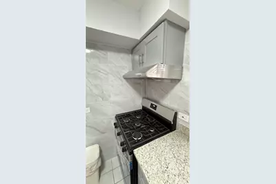 341 W 24th Street #3, Chicago, IL 60616 - Photo 4