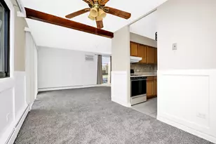 6101 W 64th Pl, Chicago, IL 60638 - Photo 4