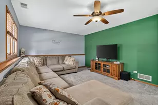 717 Naoma Dr, Crete, IL 60417 - Photo 18