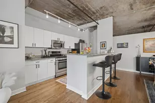 411 W Ontario St, Chicago, IL 60654 - Photo 10