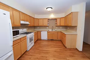 49 S Walnut Dr, North Aurora, IL 60542 - Photo 12