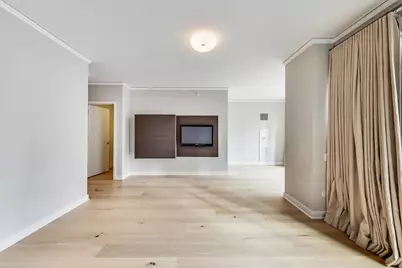 198 N Park Drive #198, Chicago, IL 60601 - Photo 10