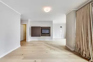 198 N Park Dr, Chicago, IL 60601 - Photo 10