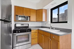 455 W St James Pl, Chicago, IL 60614 - Photo 10