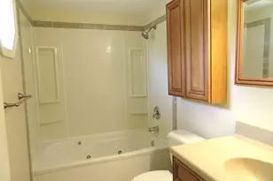 116 Crabapple Ln, Morris, IL 60450 - Photo 26