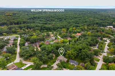 209 Glenwood Avenue, Willow Springs, IL 60480 - Photo 44