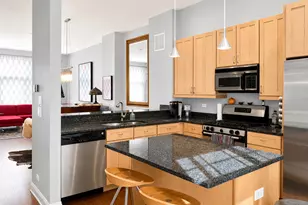849 N May St, Chicago, IL 60642 - Photo 8