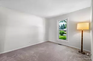 265 Mulford Ln, Roselle, IL 60172 - Photo 18