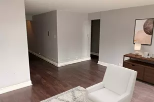 7337 S South Shore Dr, Chicago, IL 60649 - Photo 16