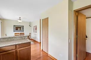 286 Chrisman Dr, Streamwood, IL 60107 - Photo 12