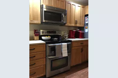 3060 N Leaf River Road, Mount Morris, IL 61054 - Photo 2