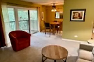 41 E Janata Blvd, Lombard, IL 60148 - Photo 6
