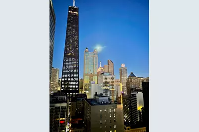 880 N Lake Shore Drive #25H, Chicago, IL 60611 - Photo 12