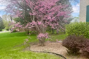 8S765 Singletree Ln, Naperville, IL 60565 - Photo 34