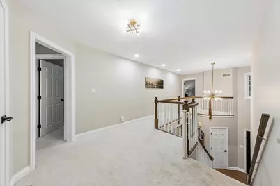 827 Birch Avenue, Downers Grove, IL 60515 - Photo 20