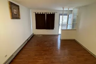 7208 S East End Ave, Chicago, IL 60649 - Photo 12