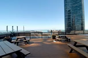 540 N Lake Shore Dr, Chicago, IL 60611 - Photo 14
