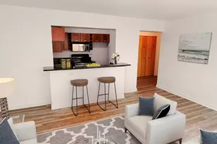 7337 S South Shore Dr, Chicago, IL 60649 - Photo 24