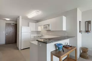 2 E Erie St, Chicago, IL 60611 - Photo 8