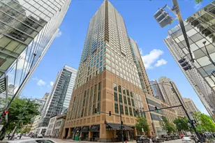 2 E Erie St, Chicago, IL 60611 - Photo 1