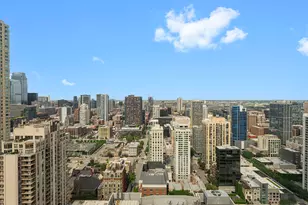 2 E Erie St, Chicago, IL 60611 - Photo 4
