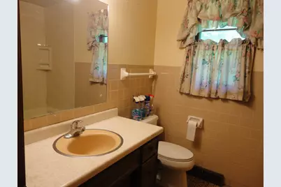 360 S Washington Street, Braidwood, IL 60408 - Photo 14