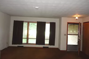 360 S Washington St, Braidwood, IL 60408 - Photo 8