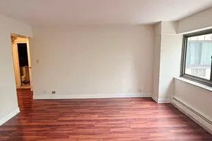 7337 S South Shore Dr, Chicago, IL 60649 - Photo 24