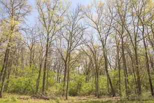 806 Echo Trail Lot 22, Marengo, IL 60152 - Photo 1