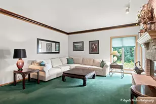 8919 Tahoe Ln, Spring Grove, IL 60081 - Photo 28