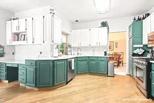 8919 Tahoe Ln, Spring Grove, IL 60081 - Photo 20