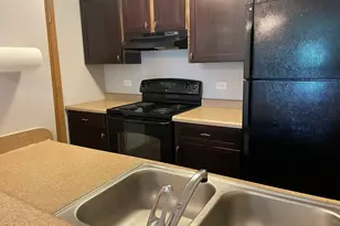 1323 Cunat Ct, Lake in the Hills, IL 60156 - Photo 4