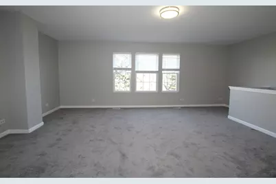 353 Springbrook Trail S, Oswego, IL 60543 - Photo 8