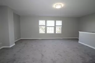 353 Springbrook Trail S, Oswego, IL 60543 - Photo 8