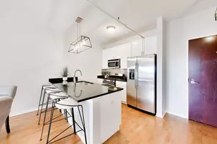 437 W Division St, Chicago, IL 60610 - Photo 10