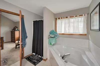 1013 Heron Avenue, Peotone, IL 60468 - Photo 14