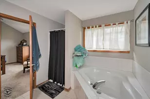 1013 Heron Ave, Peotone, IL 60468 - Photo 14