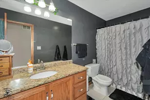 1013 Heron Ave, Peotone, IL 60468 - Photo 18