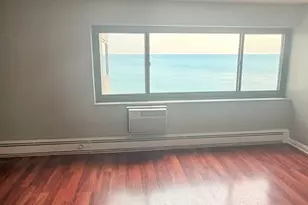 7337 S South Shore Dr, Chicago, IL 60649 - Photo 16