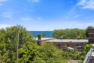 3901 S Lake Park Ave, Chicago, IL 60653 - Photo 32