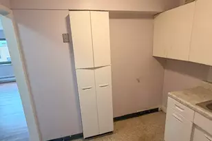 7337 S South Shore Dr, Chicago, IL 60649 - Photo 16